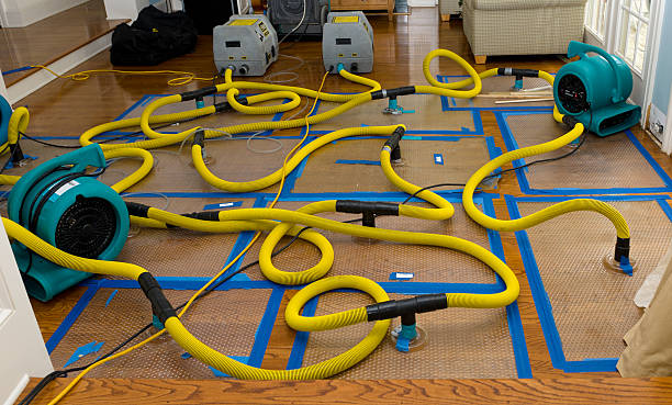 Professional Crawl Space Water Removal technician working in Sheridan, WY